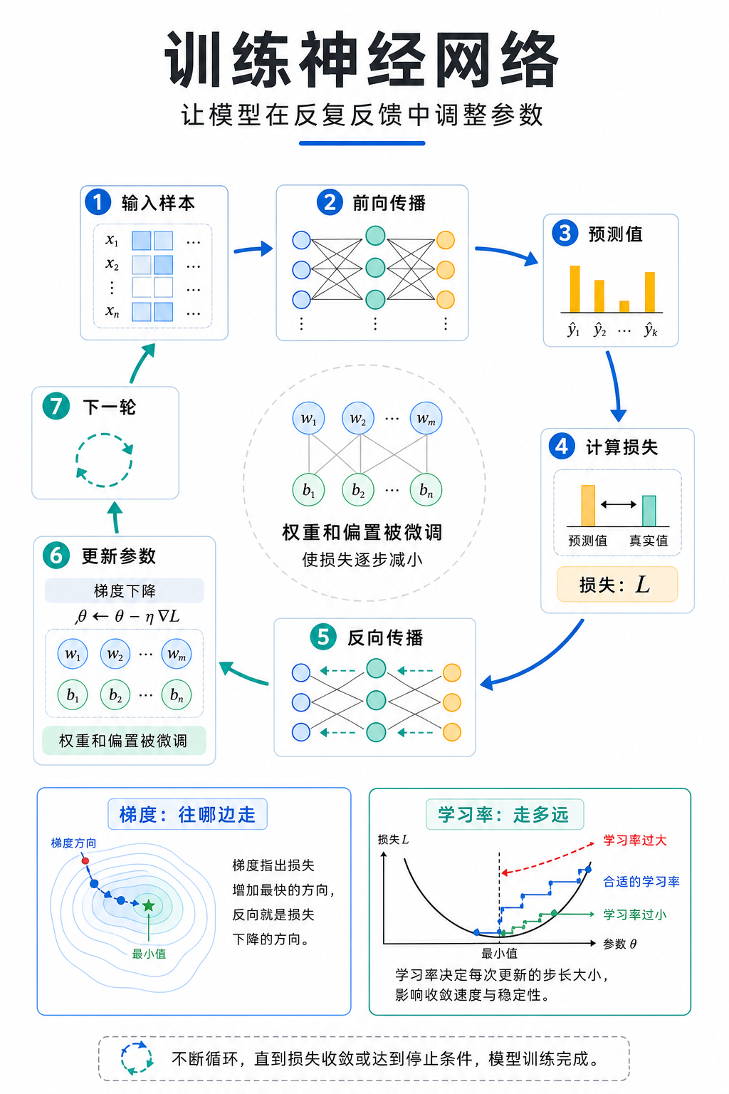 训练神经网络：预测、损失、反向传播与参数更新