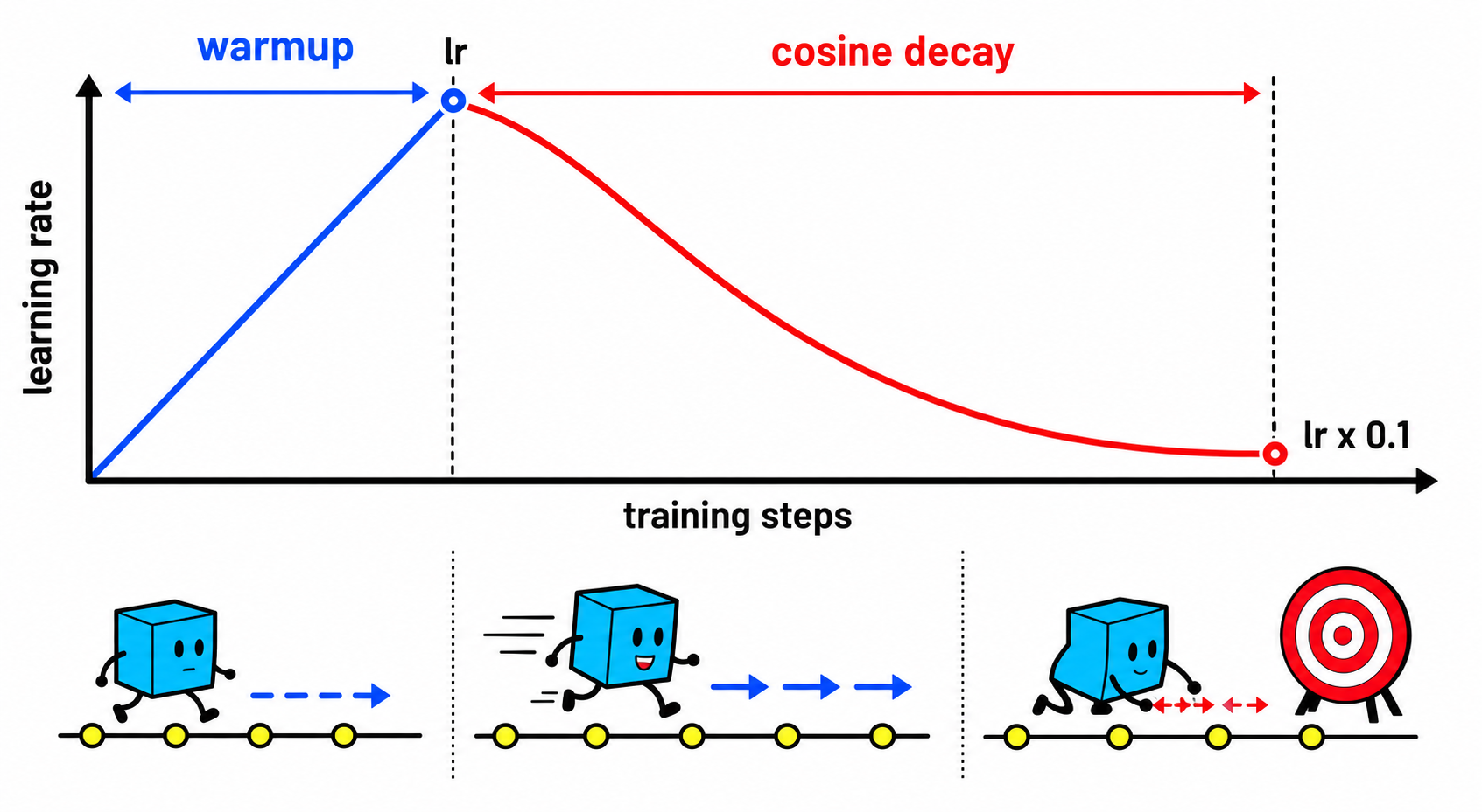 学习率调度:warmup 与 cosine decay